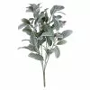 Best reviews of ✨ Lamb's Ear Bush by Ashland® 🥰 -Michaels Store 10626928