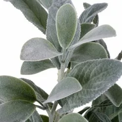 Best reviews of ✨ Lamb's Ear Bush by Ashland® 🥰 -Michaels Store 10626928 3