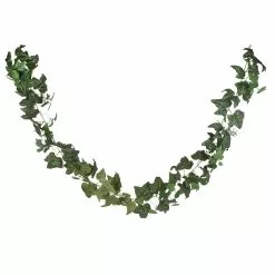 Best reviews of 😀 4 Pack: 6ft. Green English Ivy Garland by Ashland® 😍