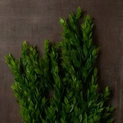 Best Sale 🔥 Hanging Ruscus Bush by Ashland® 🧨 -Michaels Store 10626982 25