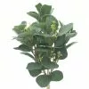 Outlet 🔔 Silver Dollar & Lamb's Ear Bush by Ashland® ✔️ 1 Outlet 🔔 Silver Dollar & Lamb's Ear Bush by Ashland® ✔️ -Michaels Store 10626983