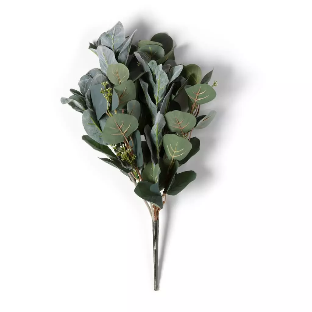 New π 12 Pack: Silver Dollar & Lamb's Ear Bush by Ashland® π 3 New π 12 Pack: Silver Dollar & Lamb's Ear Bush by Ashland® π