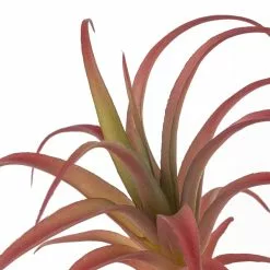 Budget 🌟 Assorted Succulent Pick by Ashland® ❤️ -Michaels Store 10626994 20