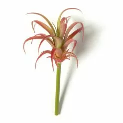 Discount 😍 24 Pack: Assorted Succulent Pick by Ashland® ⭐