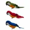 Top 10 ✔️ Assorted Feather Parrot by Ashland® 🧨 1 Top 10 ✔️ Assorted Feather Parrot by Ashland® 🧨 -Michaels Store 10627157 1