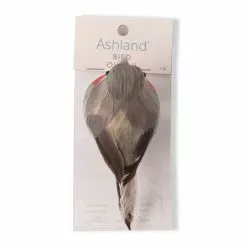 Cheap ⌛ Orange Breasted Feather Bird by Ashland® ⭐ 7 Cheap ⌛ Orange Breasted Feather Bird by Ashland® ⭐ -Michaels Store 10627158 20