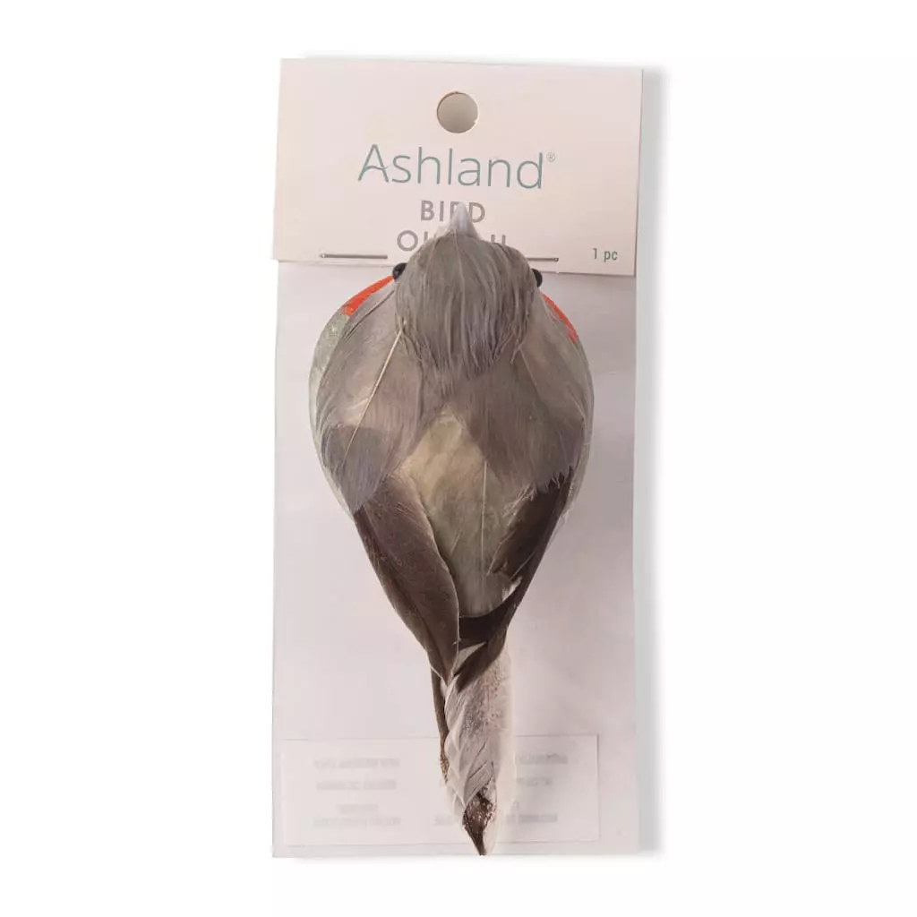 Cheap ⌛ Orange Breasted Feather Bird by Ashland® ⭐ 5 Cheap ⌛ Orange Breasted Feather Bird by Ashland® ⭐ - Image 3
