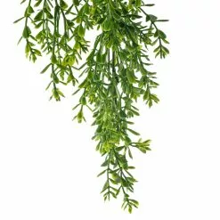 Coupon ⭐ 12 Pack: Green Boxwood Bush by Ashland® 🌟 -Michaels Store 10627315 20 1