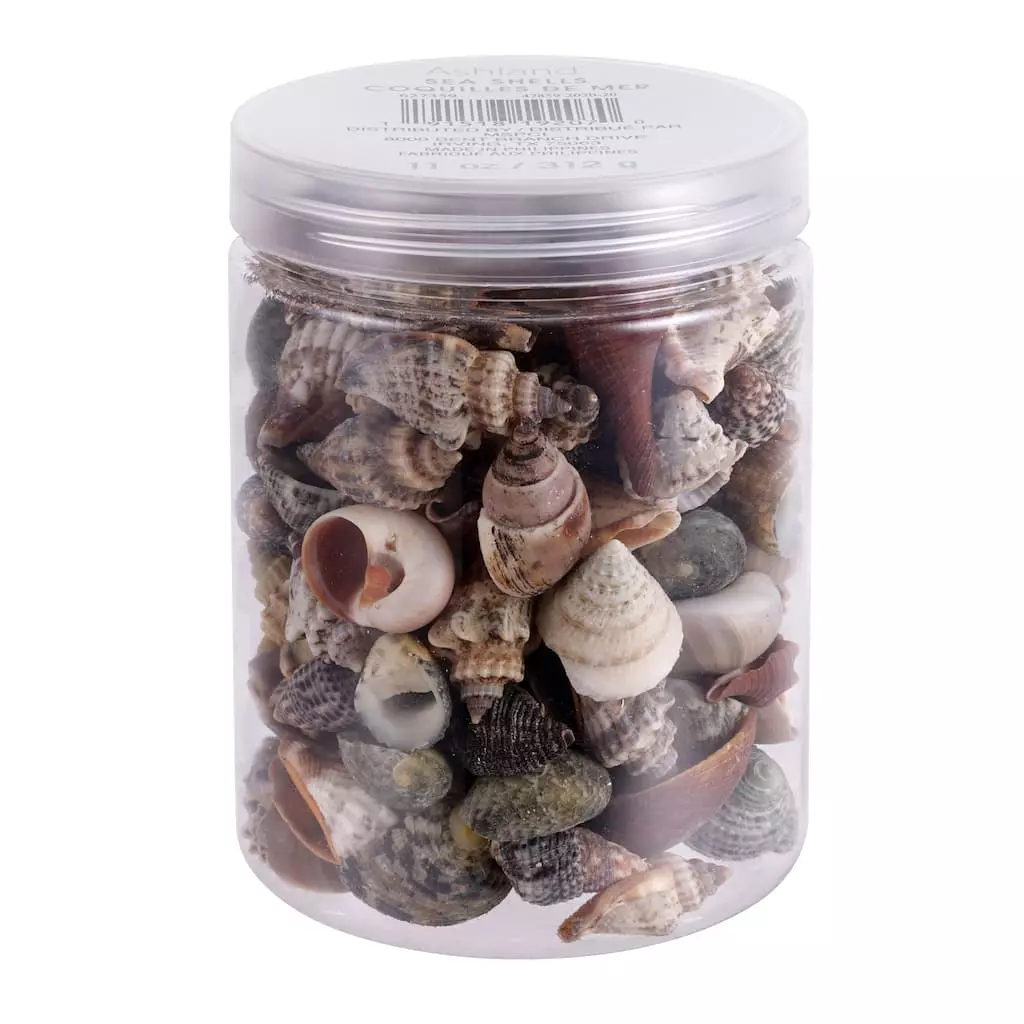 Best deal ✔️ 12 Pack: Natural & Dark Mixed Shells by Ashland® ⭐ 5 Best deal ✔️ 12 Pack: Natural & Dark Mixed Shells by Ashland® ⭐ - Image 3