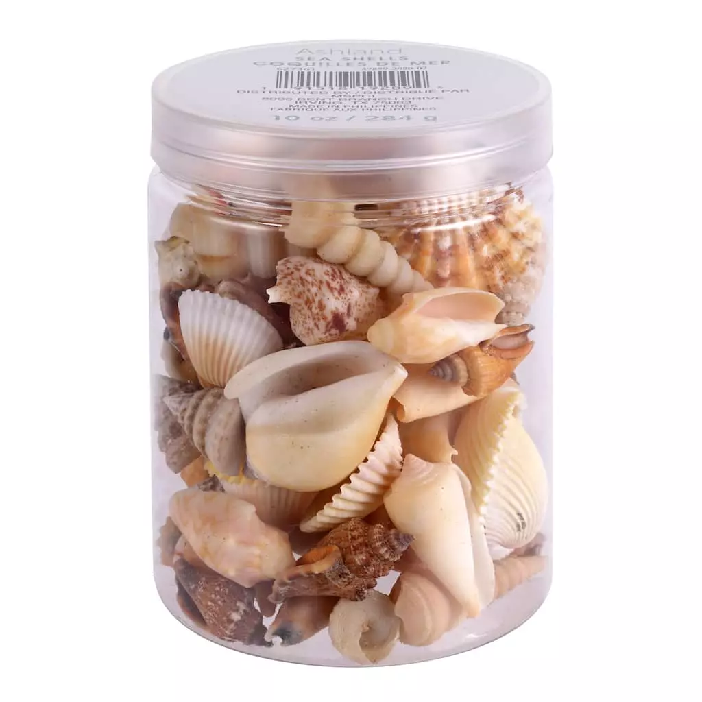 Coupon 🥰 12 Pack: Natural Mixed Shells by Ashland® 🔔 5 Coupon 🥰 12 Pack: Natural Mixed Shells by Ashland® 🔔 - Image 3