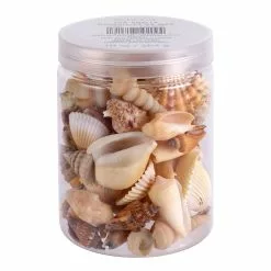 Brand new ❤️ Natural Medium Sea Shell Mix by Ashland® 😀 -Michaels Store 10627361 1