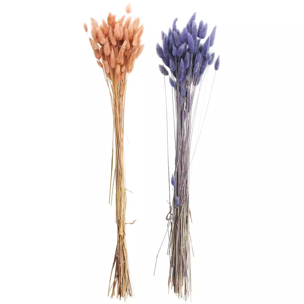 Discount ⭐ 8 Pack: Assorted Lagurus Bundle by Ashland® ✨ 3 Discount ⭐ 8 Pack: Assorted Lagurus Bundle by Ashland® ✨