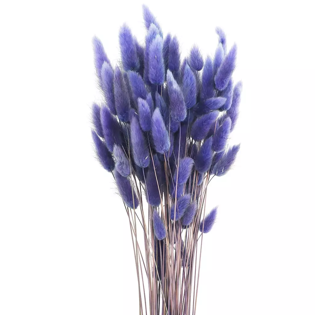 Discount ⭐ 8 Pack: Assorted Lagurus Bundle by Ashland® ✨ 4 Discount ⭐ 8 Pack: Assorted Lagurus Bundle by Ashland® ✨ - Image 2