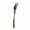 Best Pirce 🔔 Lavender Grass Bundle by Ashland® ✔️ -Michaels Store 10628611 21