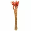 Cheap 😀 6 Pack: Coral Poa Grass Bundle by Ashland® 🔥 -Michaels Store 10628612 1