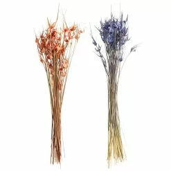 Wholesale ⌛ 8 Pack: Assorted Star Grass Bundle by Ashland® ❤️
