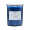 New 🧨 Twilight & Currant 2-Wick Jar Candle by Ashland® 🧨