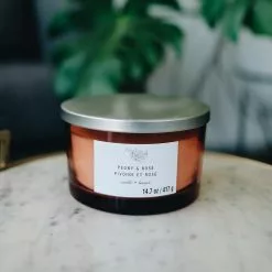 Best deal 💯 8 Pack: Peony & Rose 3-Wick Jar Candle by Ashland® 🤩 -Michaels Store 10638413 2 1