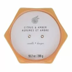 Best deal 🤩 Citrus & Amber 2-Wick Jar Candle by Ashland® ⌛