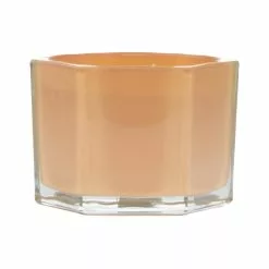 Best deal 🤩 Citrus & Amber 2-Wick Jar Candle by Ashland® ⌛ -Michaels Store 10638423 4
