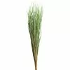 Cheapest ⌛ 8 Pack: Green Magnolia Flax Grass Bundle by Ashland® ❤️ -Michaels Store 10646374 1