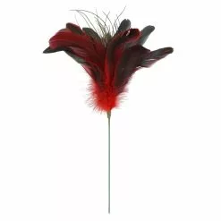 Wholesale 👍 Red Peacock Feather Pick by Ashland® 🧨