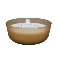 Brand new 😉 6 Pack: 18.7oz. Grapefruit & Honey Candle by Ashland® ⌛