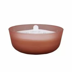 Brand new 💯 18.7oz. Peony & Rose Candle by Ashland® 🔔