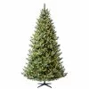 Flash Sale ⌛ 7.5ft. Pre-Lit Fairyland Fir Artificial Christmas Tree, Warm White Fairy LED Lights by Ashland® 😉
