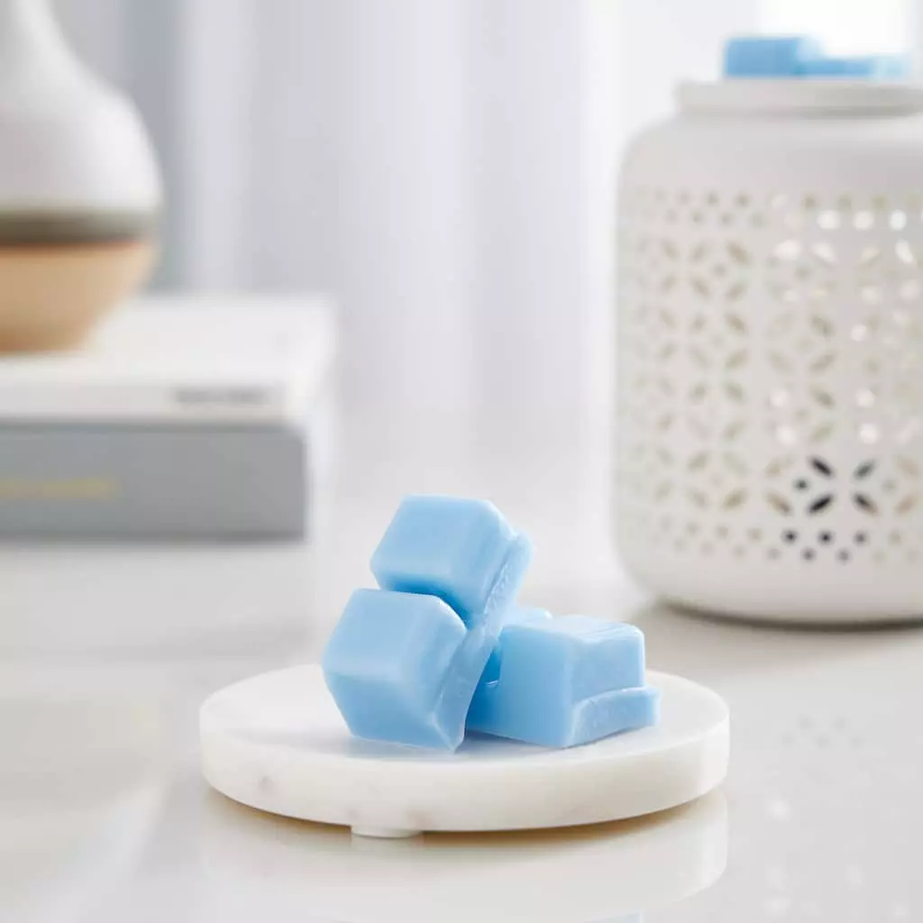 Brand new 🥰 Ocean & Driftwood Scented Wax Melt by Ashland® ⭐ 4 Brand new 🥰 Ocean & Driftwood Scented Wax Melt by Ashland® ⭐ - Image 2