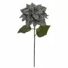 Best reviews of 😀 Silver Glitter Poinsettia Stem by Ashland® 😍 1 Best reviews of 😀 Silver Glitter Poinsettia Stem by Ashland® 😍 -Michaels Store 10673375 1