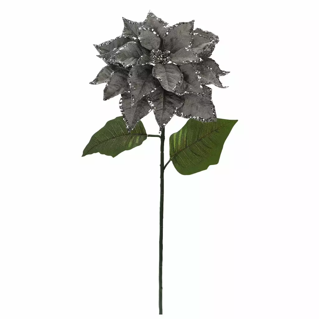 Best reviews of 😀 Silver Glitter Poinsettia Stem by Ashland® 😍 3 Best reviews of 😀 Silver Glitter Poinsettia Stem by Ashland® 😍