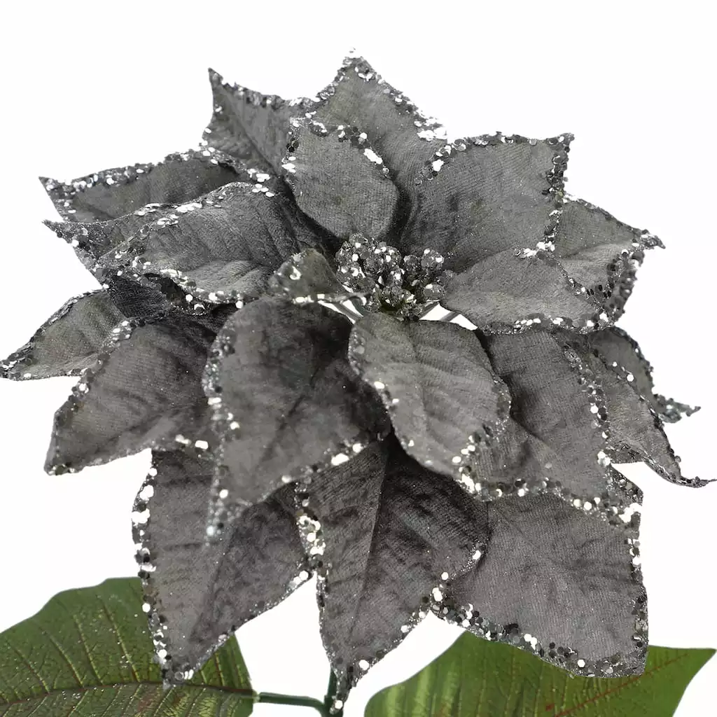 Best reviews of 😀 Silver Glitter Poinsettia Stem by Ashland® 😍 4 Best reviews of 😀 Silver Glitter Poinsettia Stem by Ashland® 😍 - Image 2