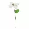 Best reviews of ✔️ White Poinsettia Stem by Ashland® 😍 -Michaels Store 10673410 1