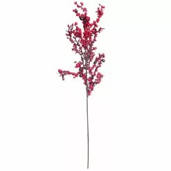 Best reviews of 👍 Red Clustered Berry Stem by Ashland® 💯