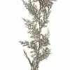 Wholesale ✔️ 6ft. Champagne Juniper Pine Garland by Ashland® ✔️ -Michaels Store 10673731 1