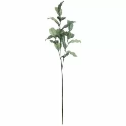 Best Pirce ✔️ Glitter Green Magnolia Leaf Stem by Ashland® ✨