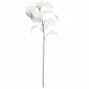 Buy ⭐ White Velvet Magnolia Leaves by Ashland® ⭐ -Michaels Store 10673930 1
