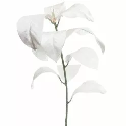 Buy ⭐ White Velvet Magnolia Leaves by Ashland® ⭐ -Michaels Store 10673930 2