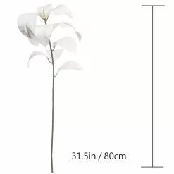 Buy ⭐ White Velvet Magnolia Leaves by Ashland® ⭐ -Michaels Store 10673930 3