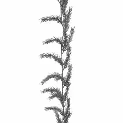 Best reviews of ⌛ 6ft. Silver Pine Garland by Ashland® 🛒