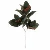 Deals 😍 Dark Green Magnolia Leaves Stem by Ashland® 💯 -Michaels Store 10674564 1