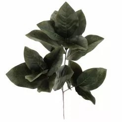 Deals 😍 Dark Green Magnolia Leaves Stem by Ashland® 💯 -Michaels Store 10674564 2
