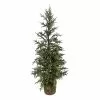 Hot Sale ✨ 3ft. Pine Tree in Basket by Ashland® ⌛