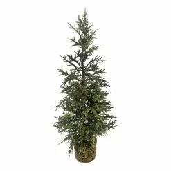 Hot Sale ✨ 3ft. Pine Tree in Basket by Ashland® ⌛