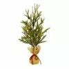 Brand new 🛒 24" Pine Tree with Pinecones in Burlap Bag by Ashland® 🥰 -Michaels Store 10675198 1
