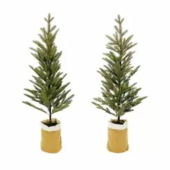 Hot Sale ⌛ Assorted 3ft. Pine Tree in Burlap Bag by Ashland® 🔥