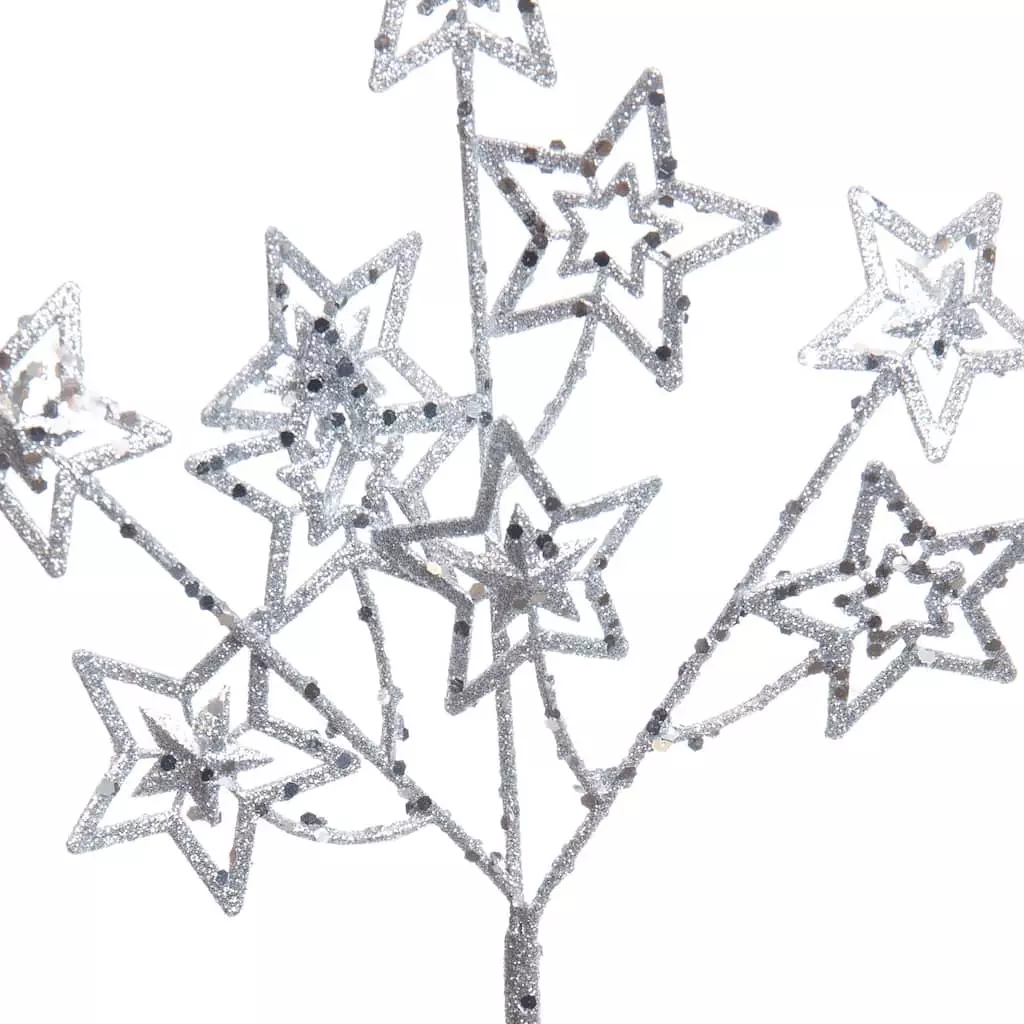 Buy 😉 Silver Glitter Star Pick by Ashland® ⌛ 4 Buy 😉 Silver Glitter Star Pick by Ashland® ⌛ - Image 2