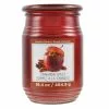 Promo 🔥 Cinnamon Apples Jar Candle by Ashland® 🛒 -Michaels Store 10675793 1