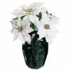 Best Sale 👍 White Potted Poinsettia with Green Foil by Ashland® ⌛ 1 Best Sale 👍 White Potted Poinsettia with Green Foil by Ashland® ⌛ -Michaels Store 10676008 1
